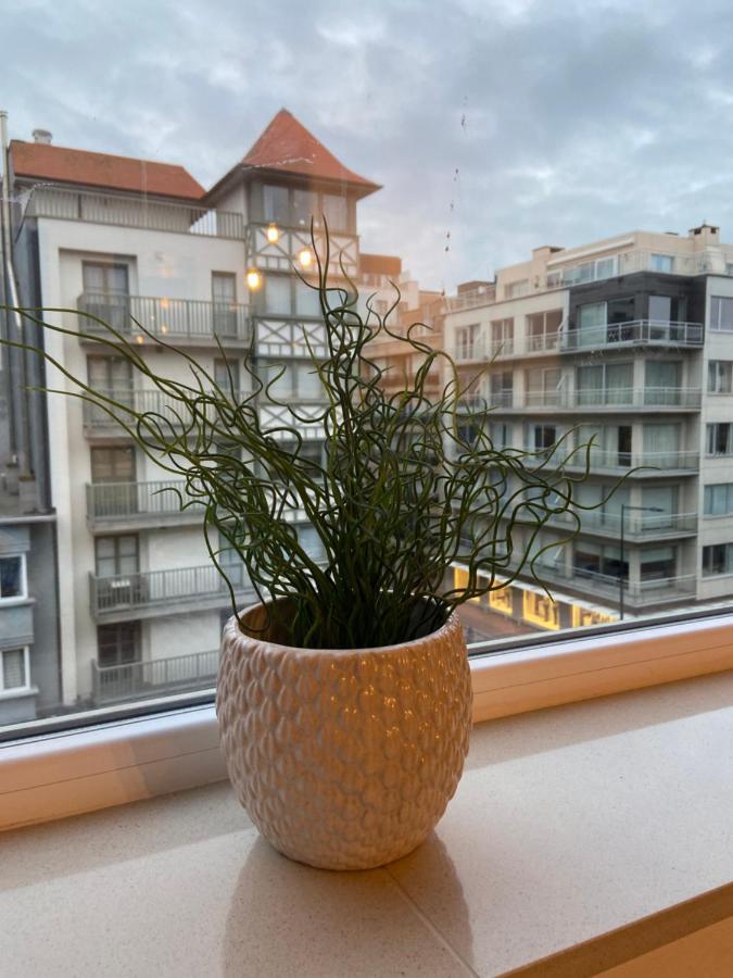 Studio Delfien Oostduinkerke Kültér fotó